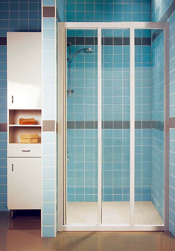 ������� ����� � ���� Ravak ASDP3-100 Grape ������� �����