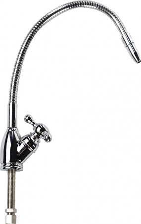 ���� ������ �8 ������