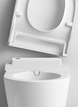 ��������  ������� ����������� ��� �������� Roca DUPLO WC 890090020 + ������ ��������� Roca Inspira in-wash + ������ ����� Roca PL1 Dual ����