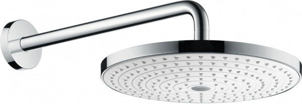 ������� ��� Hansgrohe Raindance Select S 300 2jet 27378400