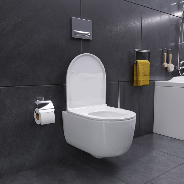 ������ ��������� Damixa Sirius DX86C1700SC � �����������