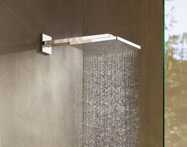 ������� ��� Hansgrohe Raindance E 26239000 300 1jet EcoSmart