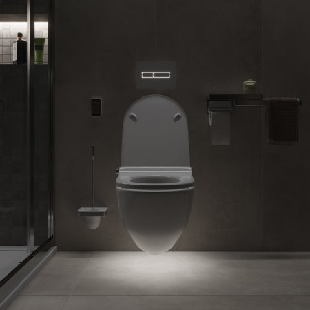 ������ ��������� Laufen Riva 8.2069.1.400.000.1 � ��������� LCC