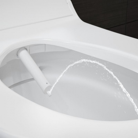������ ��������� Geberit AquaClean Tuma Comfort 146.294.SI.1 ������� ����� ������