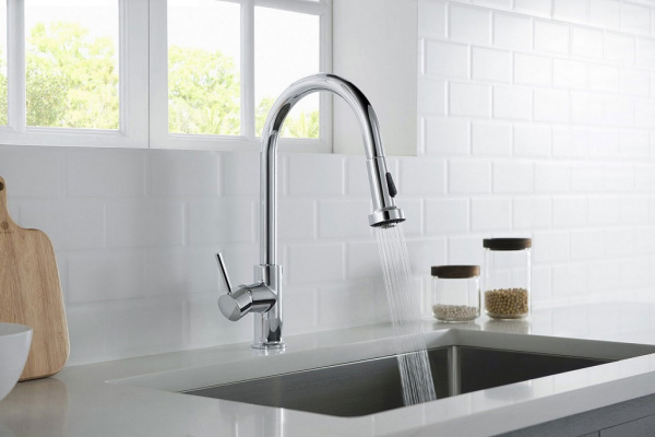  Timo Saona 2316/00FL   