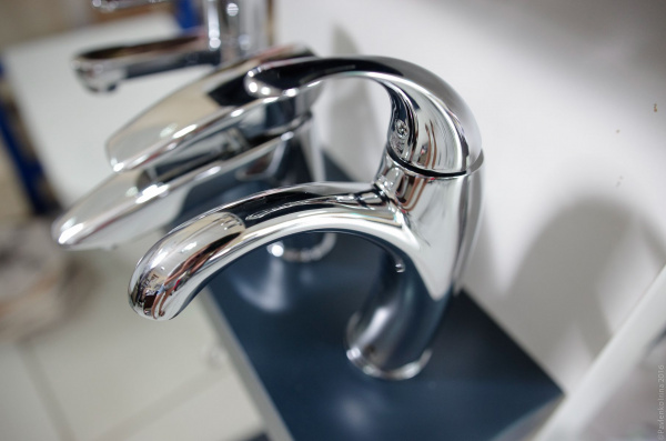 ��������� Paini Fiori F2CR205LMKM ��� ��������