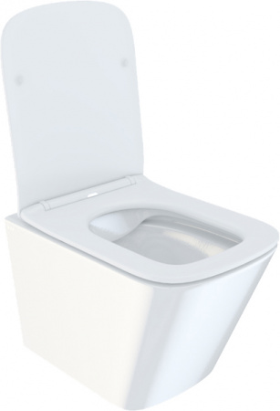 ������ ��������� IDDIS Bild BILRDSEi25 ������� � �����������