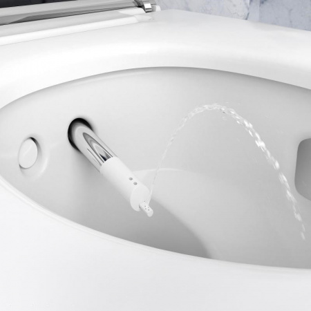 ������ ��������� Geberit AquaClean Mera Comfort 146.214.11.1 � �������� �������� �������, ���������� �����