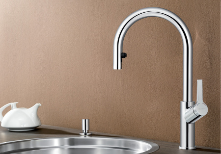 ��������� Blanco Carena-S 520767 ��� �������� �����