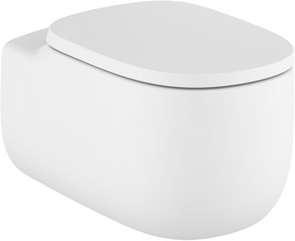 �������� ������ ��������� Roca Beyond 3460B7620 ����� � �������-�������� + ������� ����������� ��� �������� Roca DUPLO WC 890090020