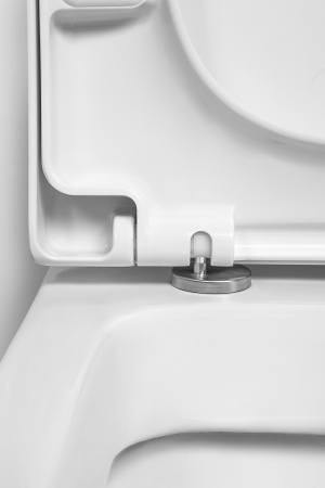 ������ ��������� Am.Pm Spirit C701738SC