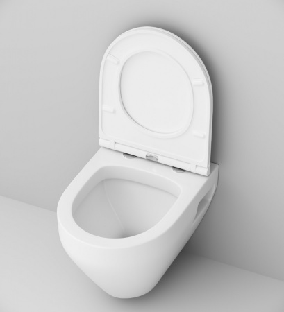 �������� AM.PM Spirit V2.0 IS47051.701738 � �������� ���������