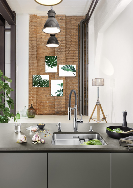 ��������� Blanco Catris-S Flexo 525791 ��� �������� �����