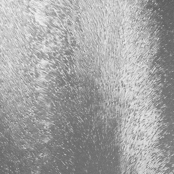 ������� ������ RGW Classic CL-51 ������ �������� �� ���������� � �������