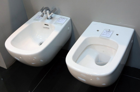 ������ ��������� Laufen Palomba 2080.1.000.000.1