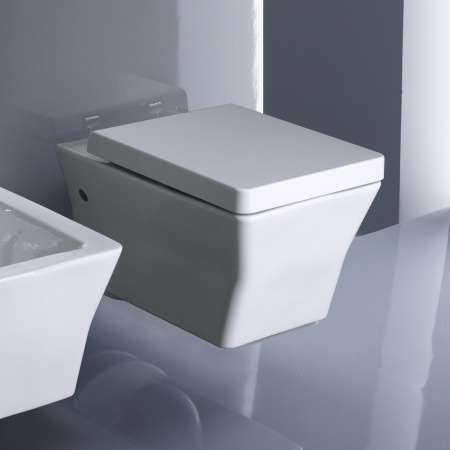 ������ ��������� Jacob Delafon Reve E4811