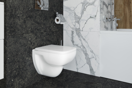 ������ ��������� AM.PM Tender C45A1739SC + ���������� AM.PM �� 30 ���� �������� �� �����������