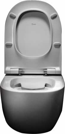 ��������  ������ ��������� Pestan Fluenta Rimless 40006661 ������������ + ������� ����������� ��� �������� Ideal Standard ProSys 120P R027767 + ������