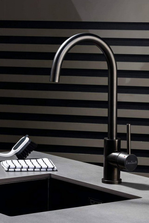 ��������� Reginox Cano PVD Metal Gun ��� �������� �����