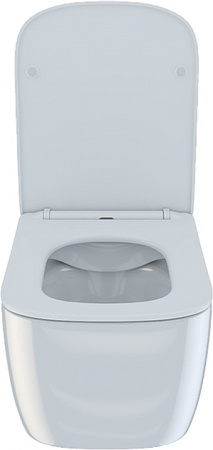 ������ ��������� IDDIS Bridge BRIRDSEi25 ������� � �����������