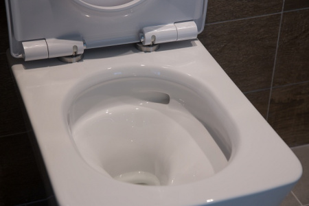 ������ ��������� Toto SP CW532Y � �����������