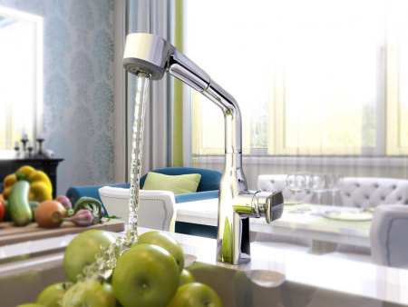 ��������� Elghansa Kitchen 56A1599 ��� �������� �����