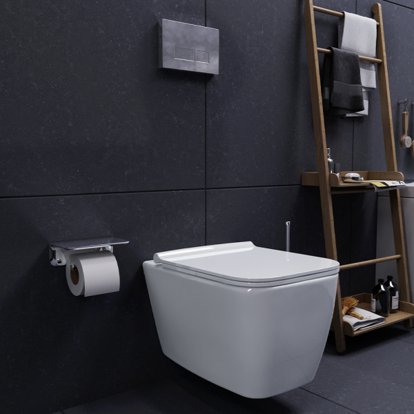 ������ ��������� Damixa Titan DX78C1700SC � �����������