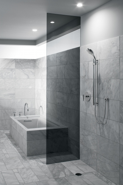 ������� �������� Jacob Delafon Flipside E15865-CP