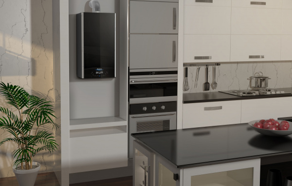 ������� ����� Ariston Alteas X 24 FF NG