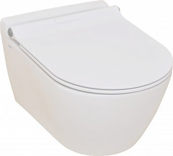 ������ ��������� Serel Smart SM25BMSl � �������� ����, � �����������