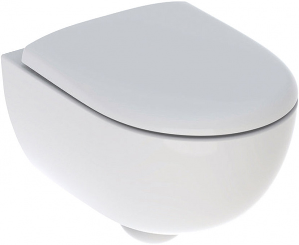 ������ ��������� Geberit Renova Compact 500.803.00.1 � �������� � ������������� ������� � �����������