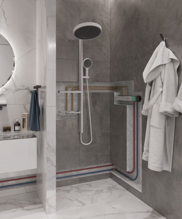 ��������� Hansgrohe RainSelect 15380700 ��� ����, ����� �������