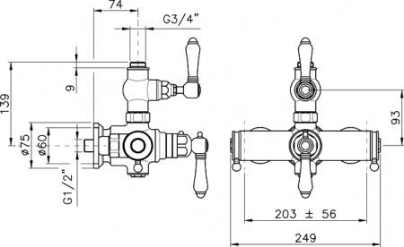 ��������� Nicolazzi Thermostatico 4917CR69 ��� ����, ����