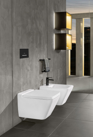 ���� ��������� Villeroy & Boch Finion 446500R1 alpin, Ceramicplus