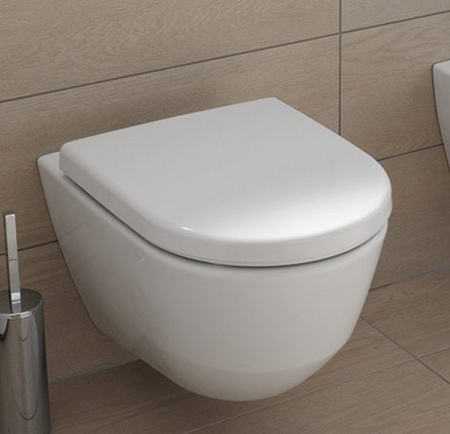 ������ ��������� Laufen Pro Rimless 8.2096.5.000.000.1 �����������