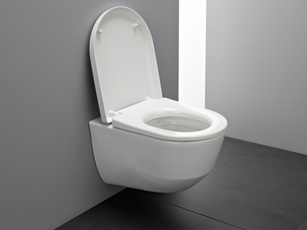 ��������  ������� ����������� ��� �������� Grohe Rapid SL 38775001 4 � 1 � ������� ����� + ������-������� Laufen Pro 8.9695.1.300.000.1 � �����������,