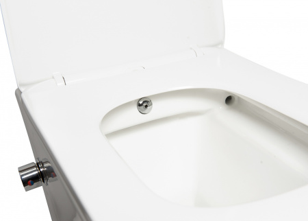 ������ ��������� SantiLine SL-5004SM-BD ������������, � �����������