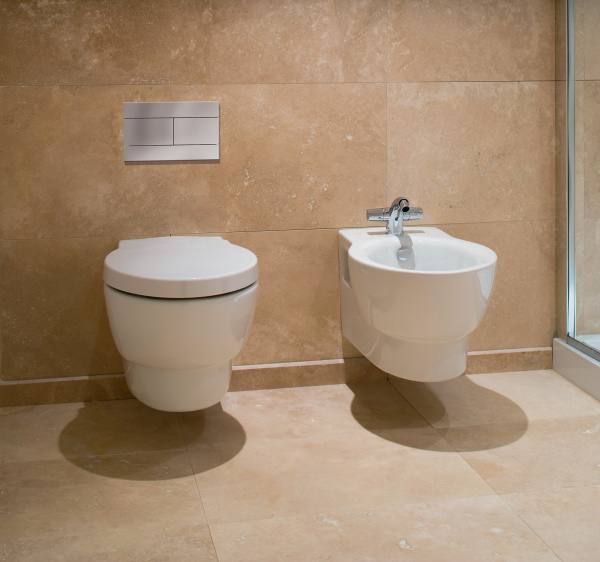 ������ ��������� Jacob Delafon Ove E1585