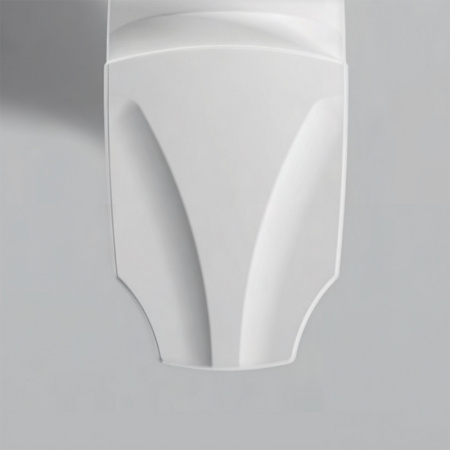 ������ ��������� Bien Fracture