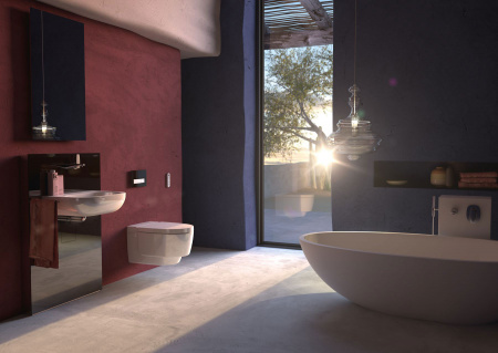 ������ ��������� Geberit AquaClean Mera Classic 146.204.11.1 ���������� �����