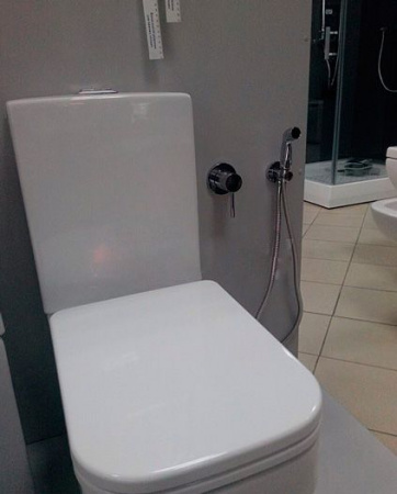 ������� �������� Kludi Bozz 382440576 ��������� + ������������� ���