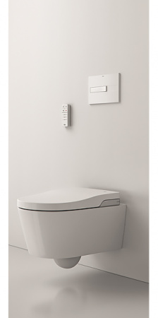 ������ ��������� Roca Inspira in-wash