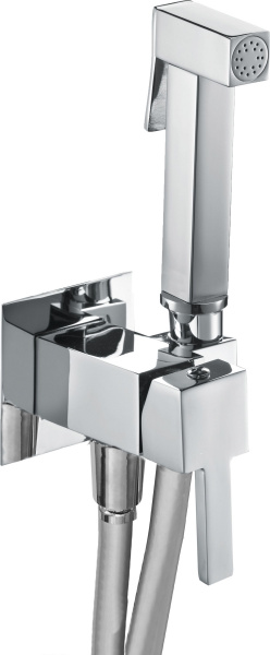   Webert Pegaso PE870303015  ,   