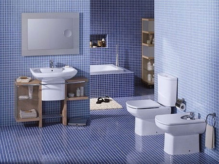 ������-������� Roca Dama Senso ZRU9000041 c �����������