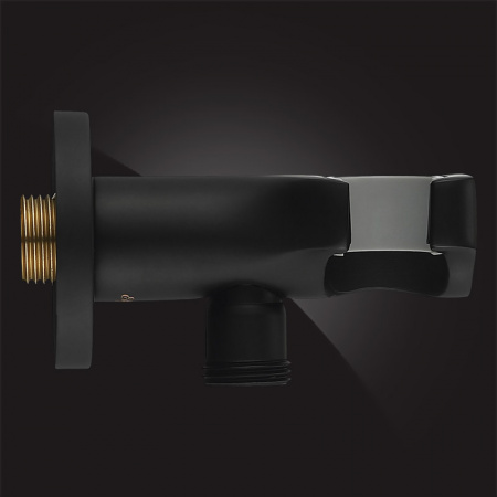 ��������� ����������� Elghansa Shower Hose Outlet WS-6K-Black � ���������� ��� ����