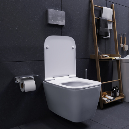 ������ ��������� Damixa Titan DX78C1700SC � �����������