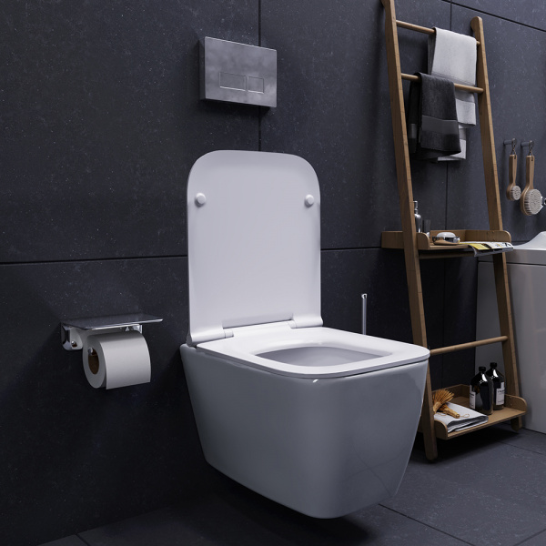 ������ ��������� Damixa Titan DX78C1700SC � �����������