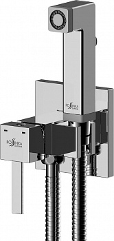   Rossinka X X25-53  ,   