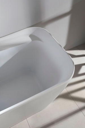 ��������� ����� Allen Brau Infinity 2 170x78, ����� �������