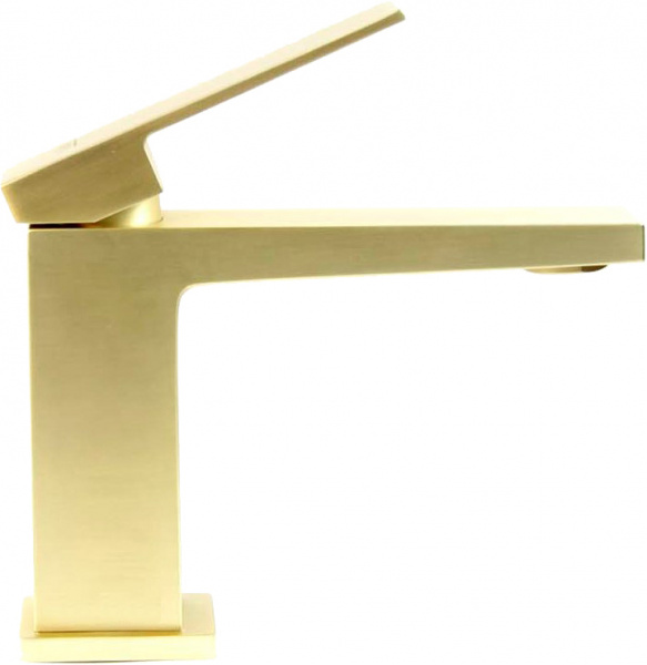 ��������� Webert Pegaso PE830102794 ��� ��������, ������� ������